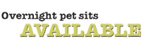 Overnight Pet Sits